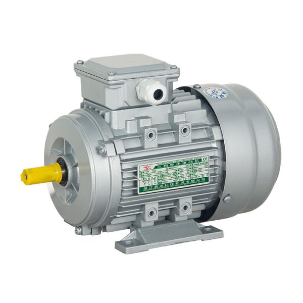 YS Series Three-Phase Asynchronous Motor