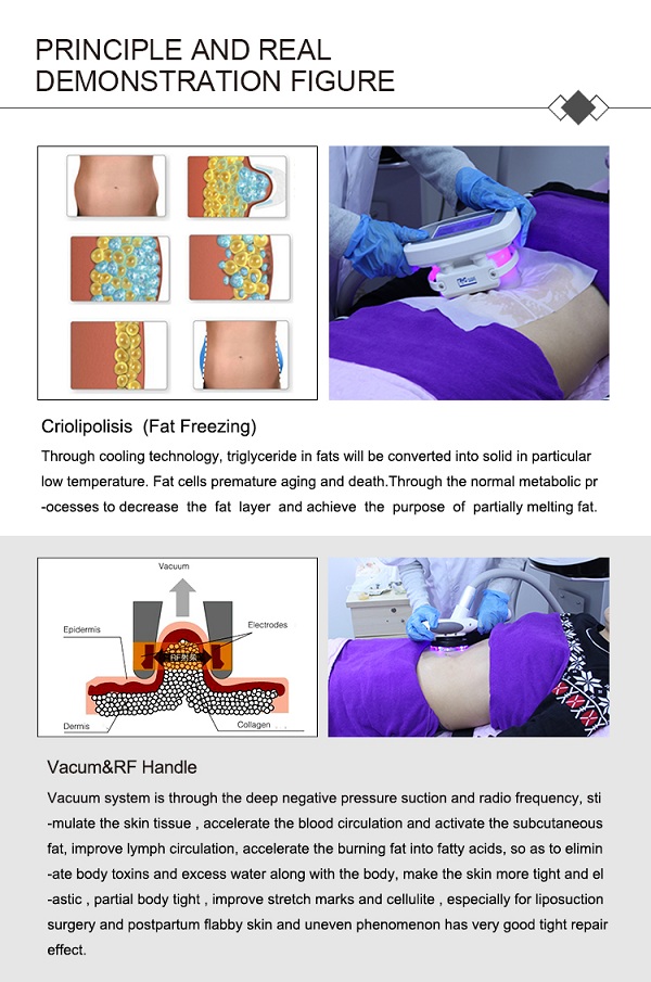 1571369256202188.jpg CTL29详情图-04.jpg