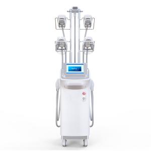 5 Paddles Cryolipolysis Fat Freezing Machine