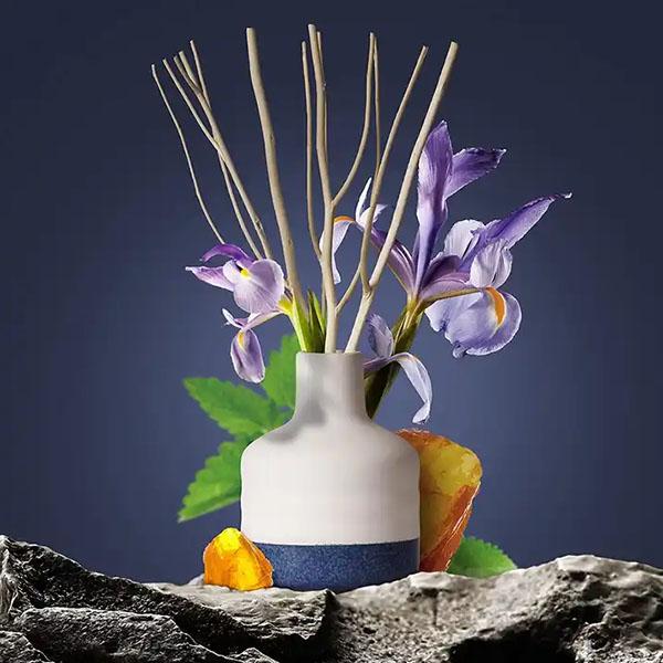 natural reed diffuser