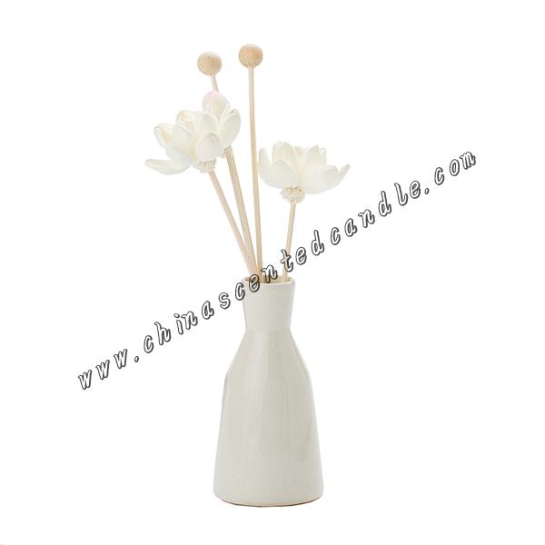 Ceramic diffuser