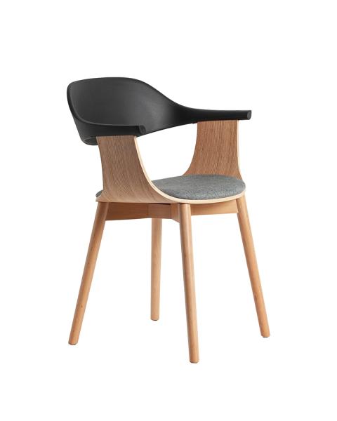 Plastic Chair