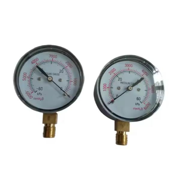 -60kPa Negative Pressure Vacuum Gauge Product