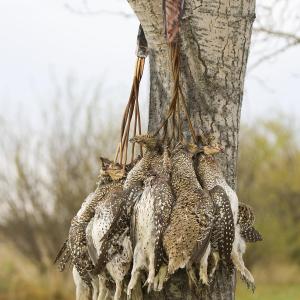 Auscamotek Duck Lanyard Carrier Waterfowl Hunting Game Tote Camo Padded Bird Dove Strap 12 Drops