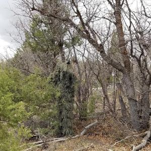 AUSCAMOTEK Camouflage Ghillie Suit for Halloween, Wildlife Photography, Birdwatching, and Deep Camouflage Needs