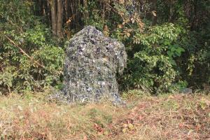 AUSCAMOTEK Hybrid Ghillie & Leafy Blind Cover Woodland Green