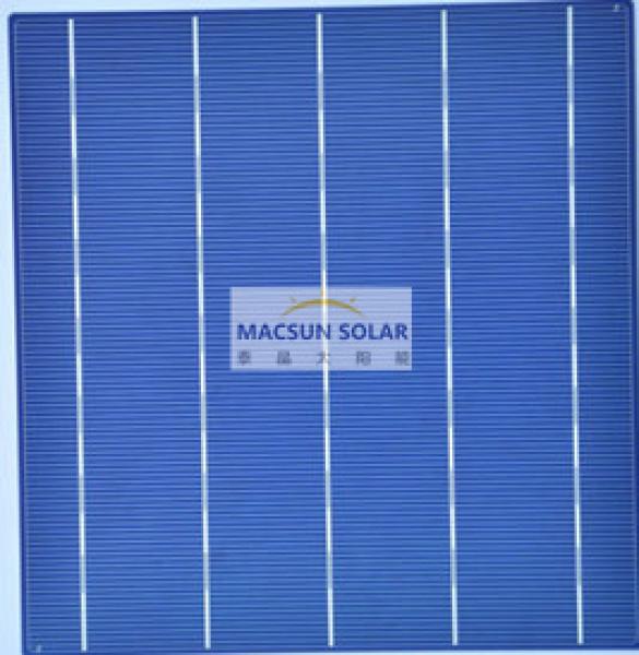 157mm Poly Crystalline Solar Cells