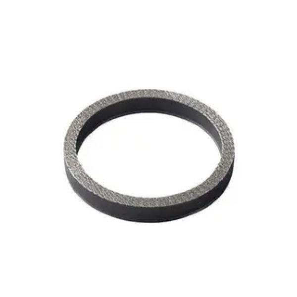 Pressure Seal Ring Gasket, Flexible Graphite, Class 4500