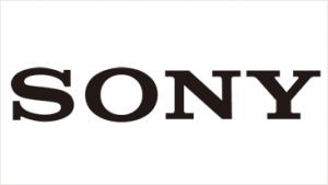 SONY Camera Bag