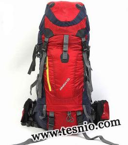 Camping Backpacks 45L
