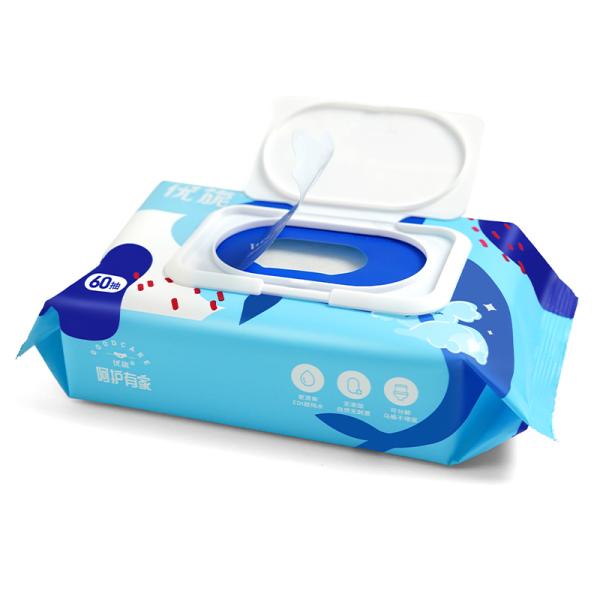 60pcs Flushable Toilet Wipes